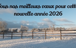 Meilleurs vœux 2026