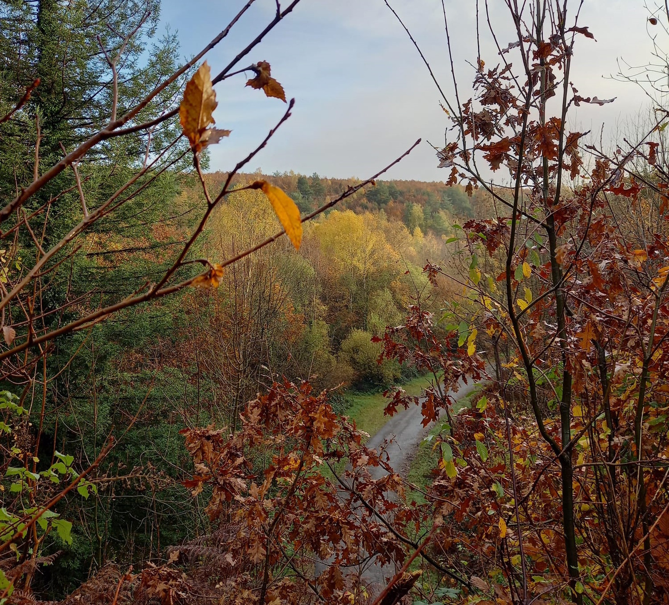 Rando Forêt de Perseigne