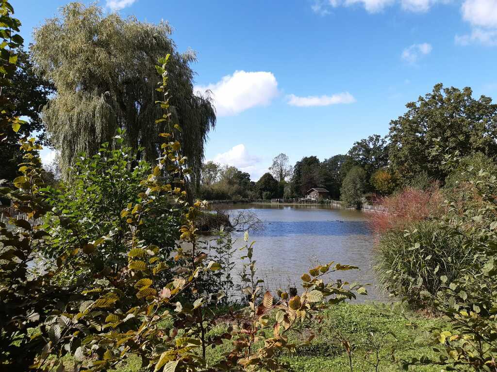 Rando Neufchâtel forêt de Perseigne