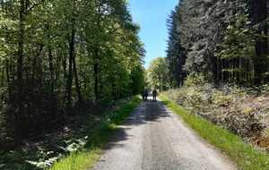 Rando Pezé-le-Robert - St-Rémy-de-Sillé