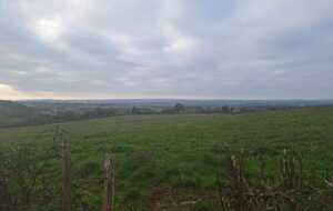 Rando St Léonard des Bois