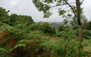 Rando Saint-Céneri-le-Gérei