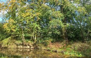 Rando Le Ménil-Broût