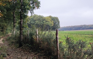 Rando St Ouen-de Mimbré