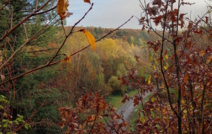 Rando Forêt de Perseigne