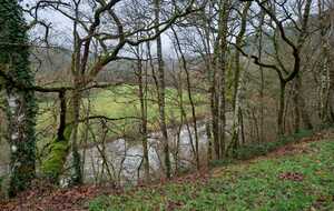 Rando Saint-Léonard-des-Bois