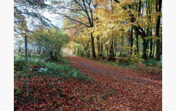 Changements notables sur deux randonnées du mois de Novembre