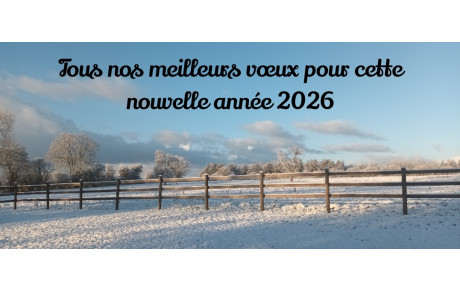 Meilleurs vœux 2026