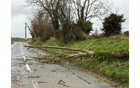 Changement de parcours pour la galette des rois