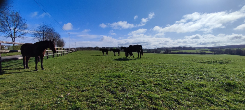Rando Saint-Hilaire-la-Gérard
